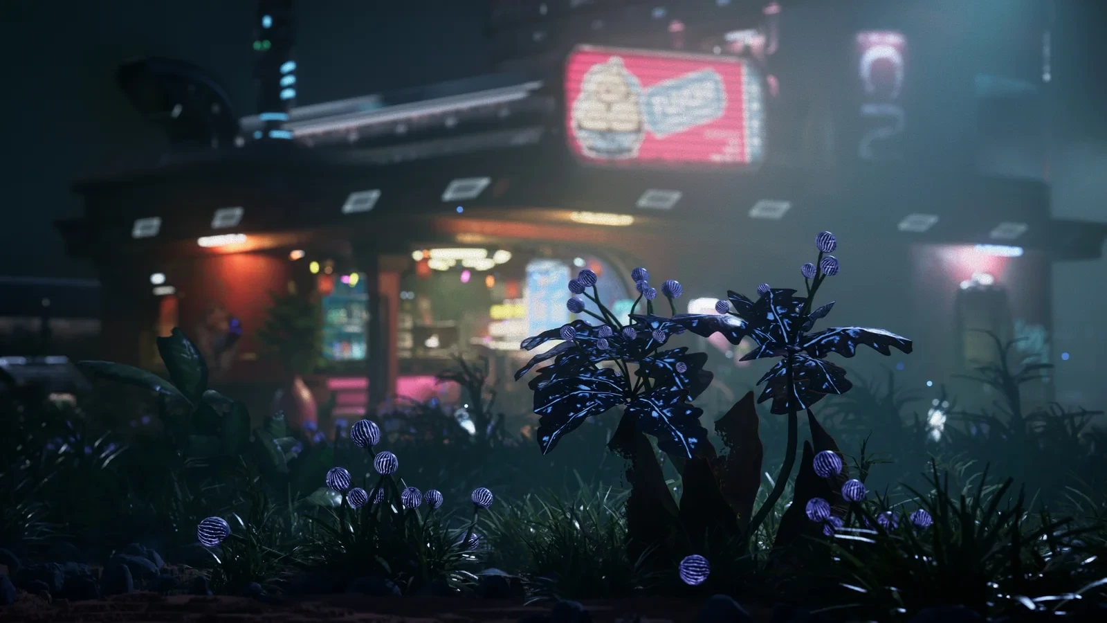 Rain-covered purple flowers and dark leaves in front of the softly lit FUYOH market