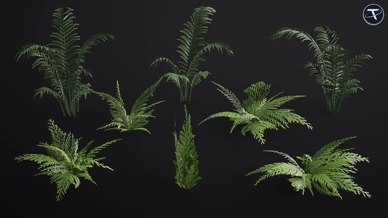 The plants on their own, without pots